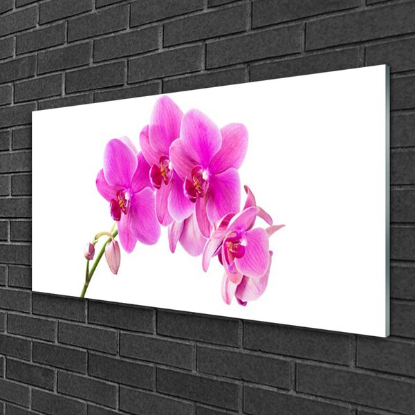 Quadro vetro Fiore di orchidea 100x50 cm 2 appendini