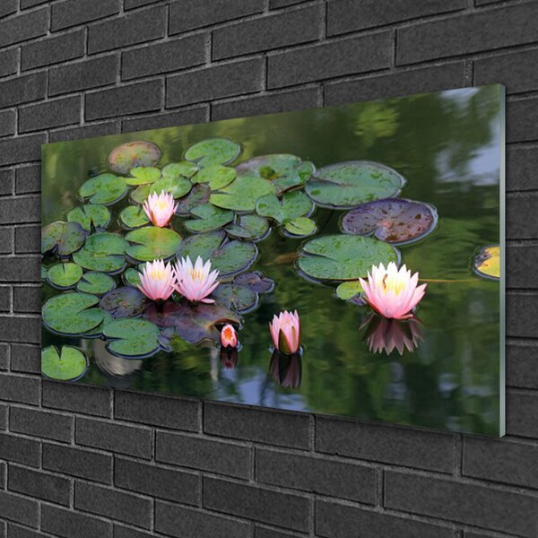 Quadro vetro Laghetto naturale con ninfee 100x50 cm 2 appendini