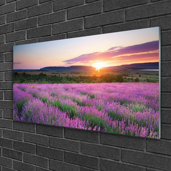 Quadro in vetro Campi di lavanda Prato Ovest 100x50 cm 2 appendini