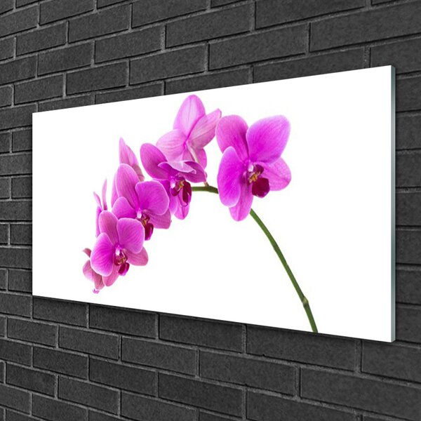 Quadro su vetro Fiore di orchidea 100x50 cm 2 appendini