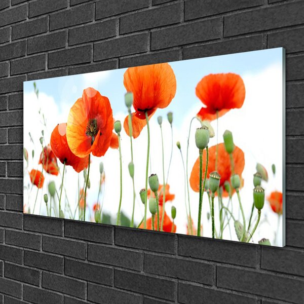 Quadro di vetro Fiori Papaveri Prato Campo Natura 100x50 cm 2 appendini
