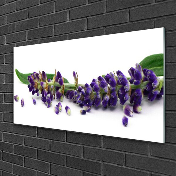 Quadro su vetro Natura morta alla lavanda 100x50 cm 2 appendini