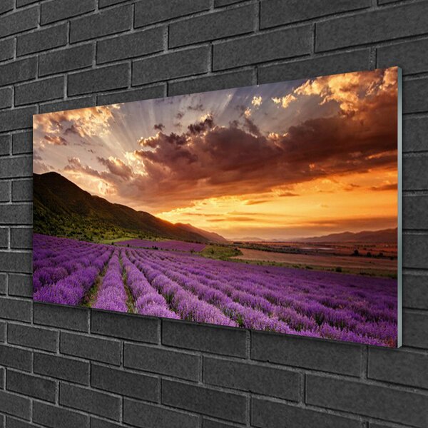 Quadro di vetro Campo di lavanda al tramonto 100x50 cm 2 appendini