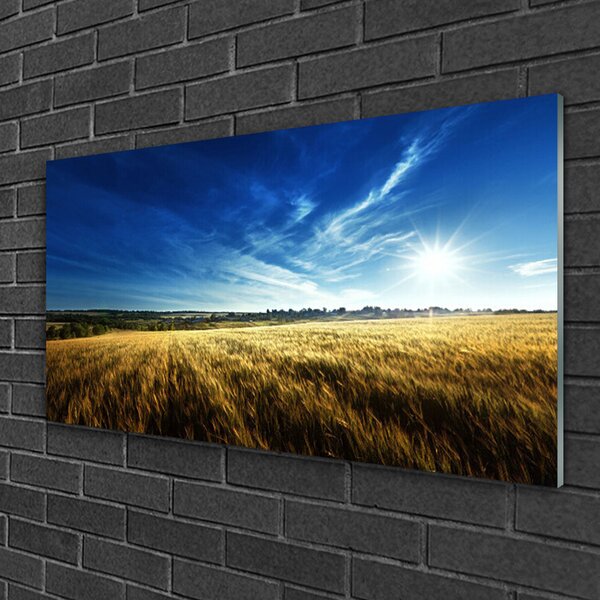 Quadro su vetro Campo di grano Sole Paesaggio 100x50 cm 2 appendini