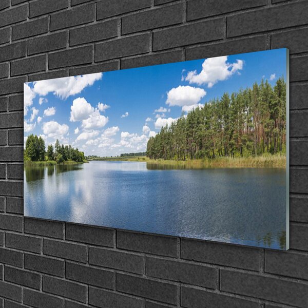 Quadro in vetro Paesaggio della Foresta del Lago 100x50 cm 2 appendini