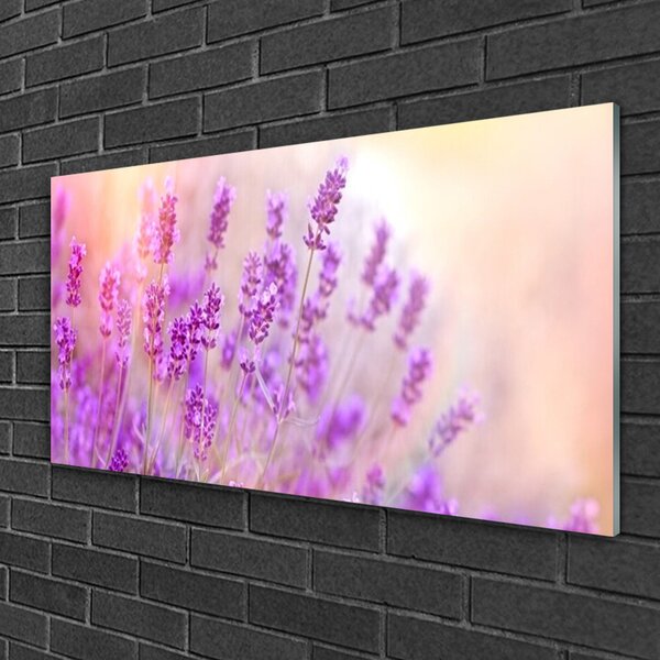 Quadro in vetro Girasoli del campo di lavanda 100x50 cm 2 appendini
