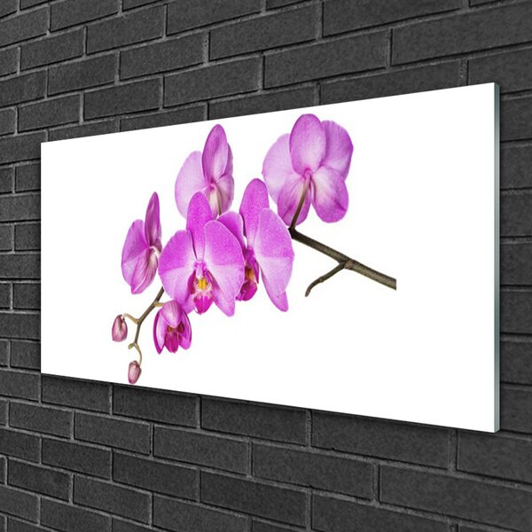 Quadro vetro Orchidea Fiori di orchidea 100x50 cm 2 appendini