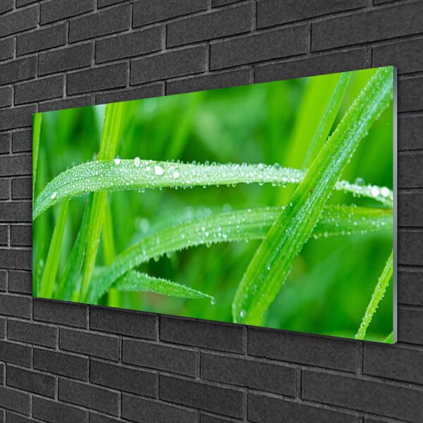 Quadro in vetro Gocce di foglie di natura rosata 100x50 cm 2 appendini