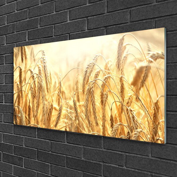 Quadro in vetro Orecchie da campo ai cereali Natura 100x50 cm 2 appendini