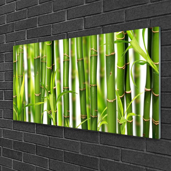 Quadro in vetro Steli di foglie di bambù Bambù 100x50 cm 2 appendini