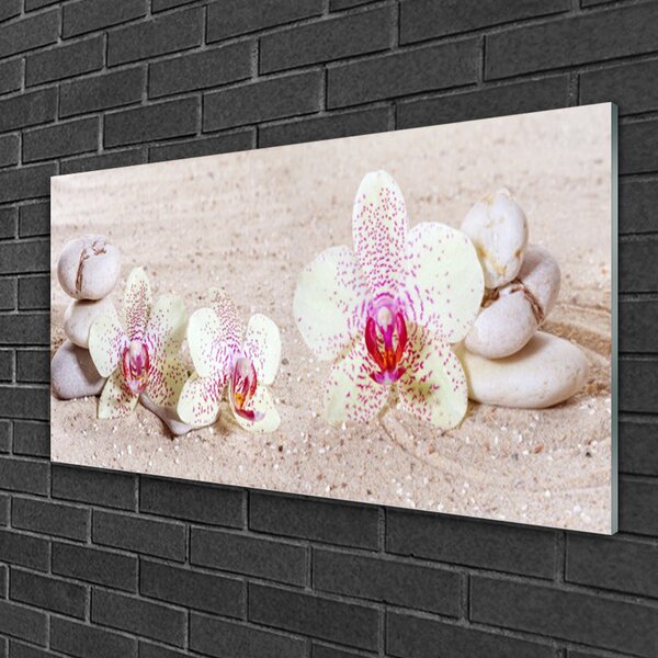 Quadro in vetro Orchidea di sabbia 100x50 cm 2 appendini