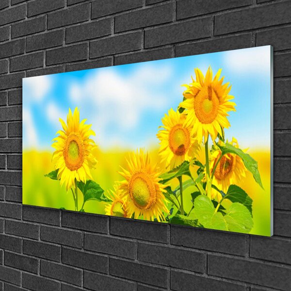 Quadro su vetro Girasole Fiori della natura 100x50 cm 2 appendini