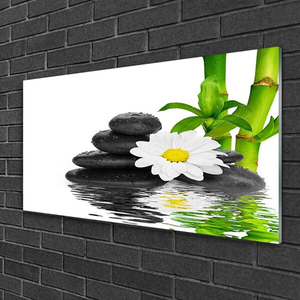 Quadro su vetro Pietre Zen Steli di bambù 100x50 cm 2 appendini