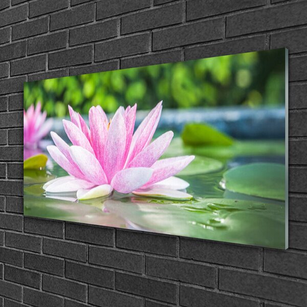 Quadro in vetro Laghetto naturale con ninfee 100x50 cm 2 appendini