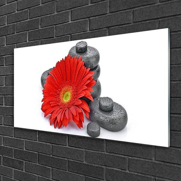 Quadro in vetro Fiori di gerbera rossi 100x50 cm 2 appendini
