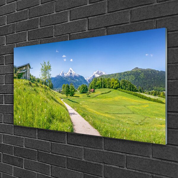 Quadro di vetro Montagne Prato Valle Sentiero 100x50 cm 2 appendini