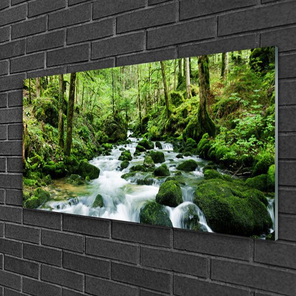 Quadro su vetro Foresta Ruscello Cascate Fiume 100x50 cm 2 appendini