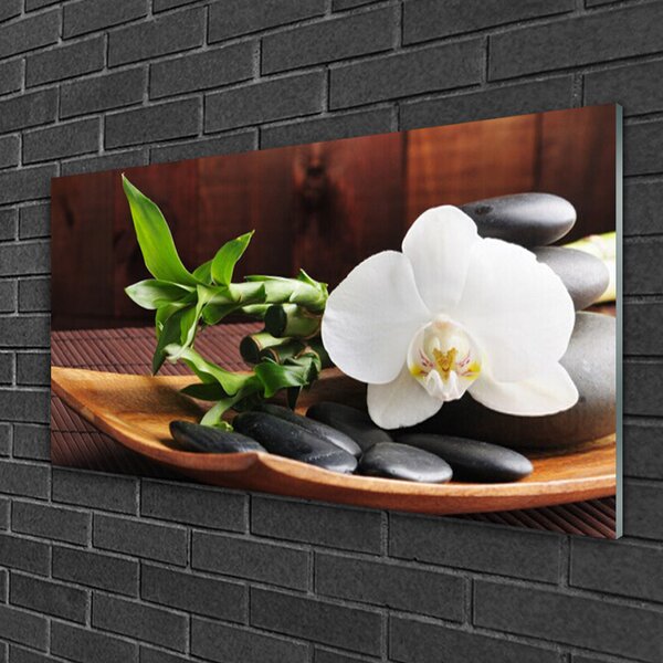 Quadro su vetro Bambù Zen Orchidea bianca 100x50 cm 2 appendini