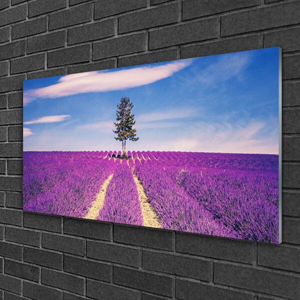 Quadro su vetro Albero del campo di lavanda 100x50 cm 2 appendini