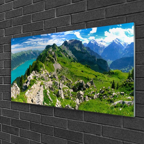 Quadro in vetro Prato Montagne Paesaggio Natura 100x50 cm 2 appendini