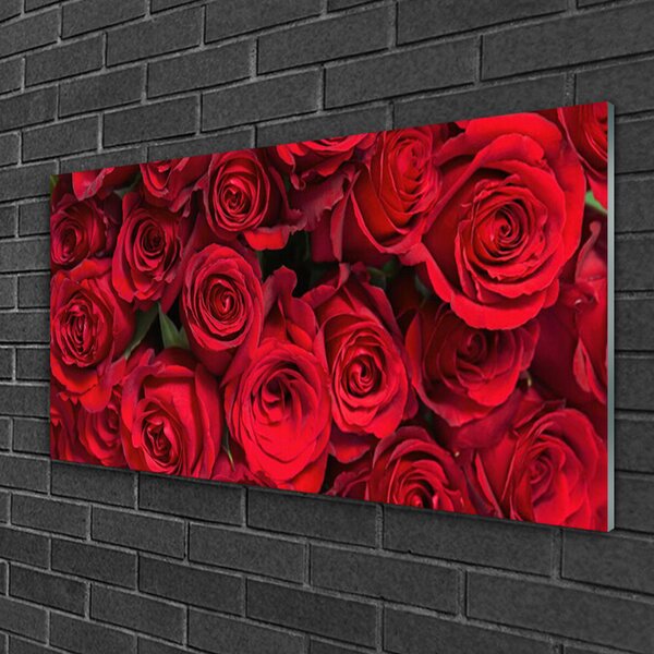 Quadro in vetro Rose rosse Fiori di natura 100x50 cm 2 appendini