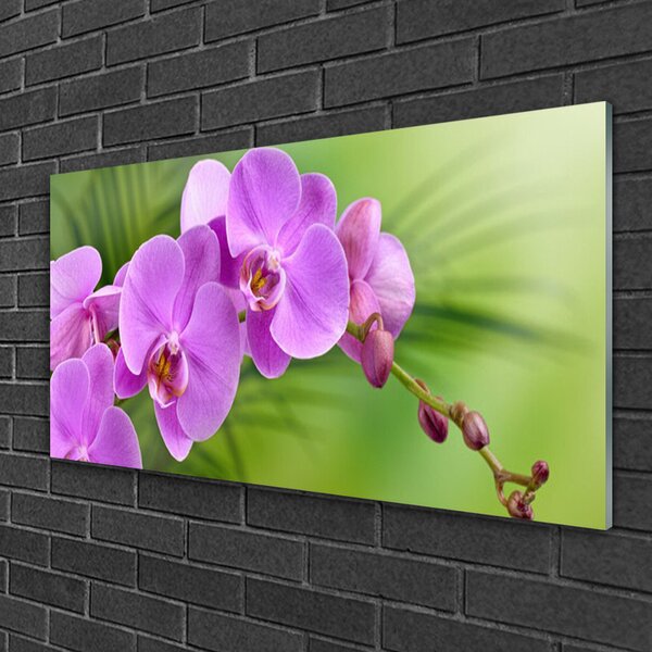 Quadro in vetro Orchidea Fiori di orchidea 100x50 cm 2 appendini