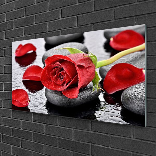 Quadro in vetro Fiore di rosa rossa 100x50 cm 2 appendini