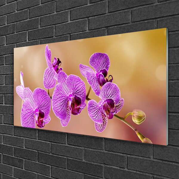 Quadro su vetro Steli di fiori di orchidea Natura 100x50 cm 2 appendini