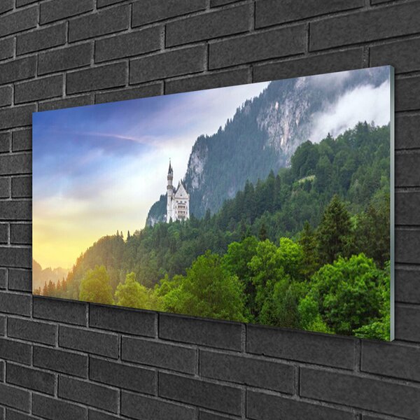 Quadro vetro Castello in montagna Paesaggio forestale 100x50 cm 2 appendini