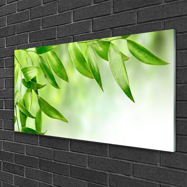 Quadro in vetro Foglia verde Natura 100x50 cm 2 appendini