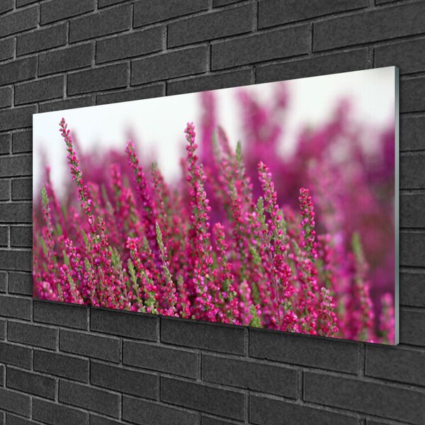 Quadro vetro Fiori Prato Natura Pianta 100x50 cm 2 appendini