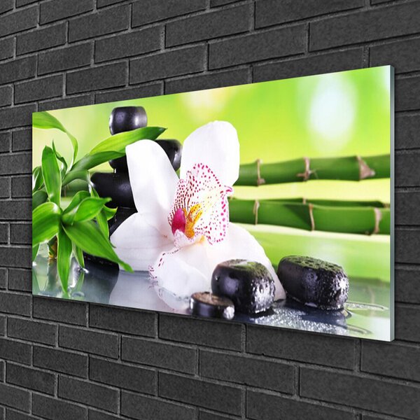 Quadro in vetro Foglie di bambù orchidea 100x50 cm 2 appendini