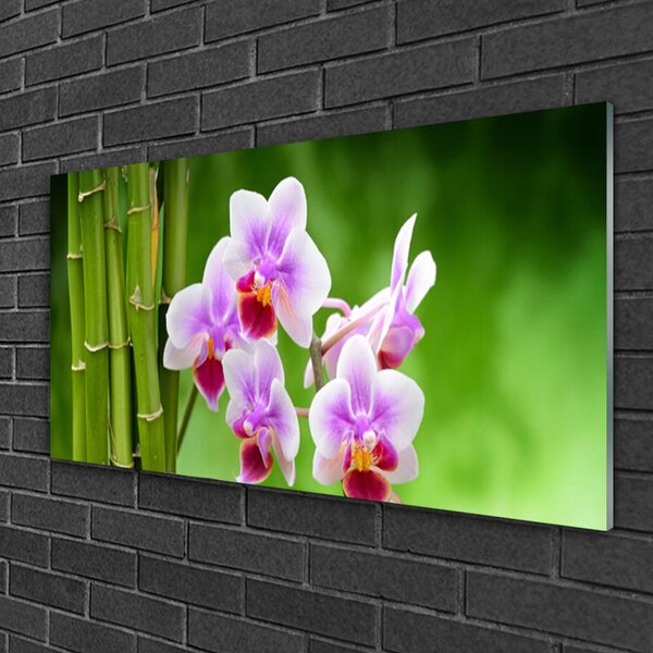 Quadro in vetro Orchidea di bambù Fiori Zen 100x50 cm 2 appendini