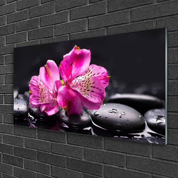 Quadro in vetro Fiori pietre Zen Spa 100x50 cm 2 appendini