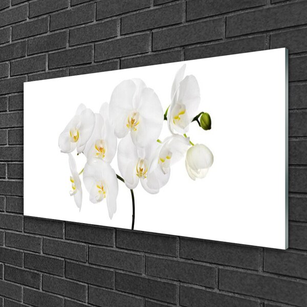 Quadro in vetro Fiori di orchidea bianchi 100x50 cm 2 appendini