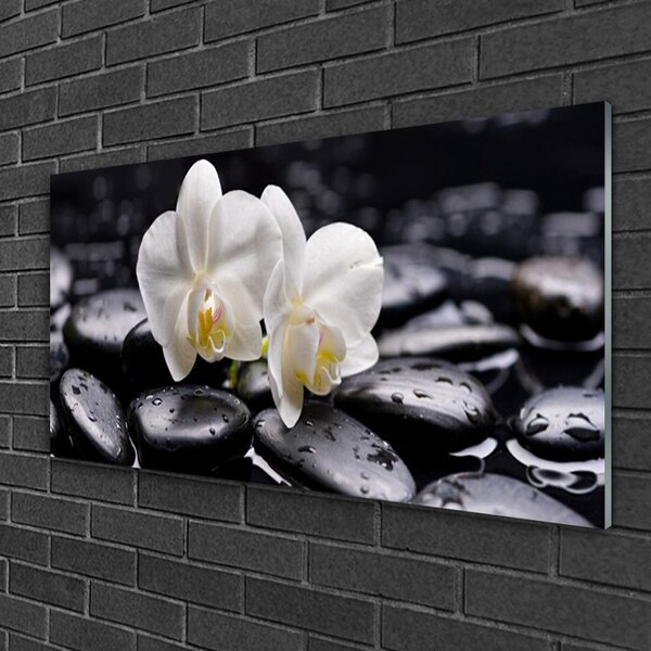 Quadro vetro Spa Zen White Orchid 100x50 cm 2 appendini