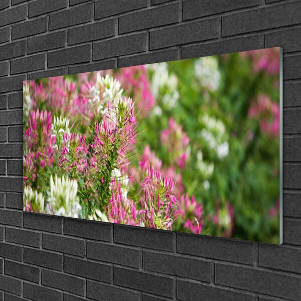 Quadro in vetro Campo Fiori Prato Natura 100x50 cm 2 appendini