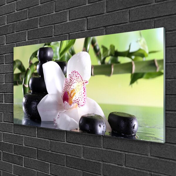 Quadro di vetro Pietre di orchidea Bambù 100x50 cm 2 appendini