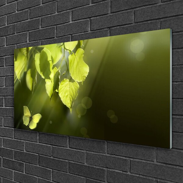 Quadro in vetro Foglie Raggi di sole 100x50 cm 2 appendini