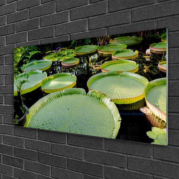 Quadro vetro Foglie Lago Natura 100x50 cm 2 appendini