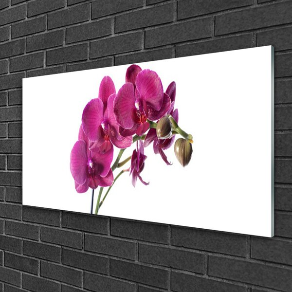Quadro di vetro Orchidea Fiori della natura 100x50 cm 2 appendini
