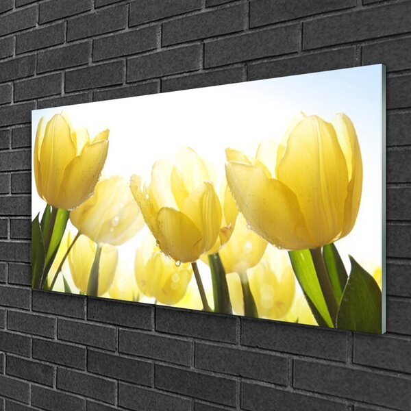 Quadro in vetro Tulipani Fiori radiosi 100x50 cm 2 appendini