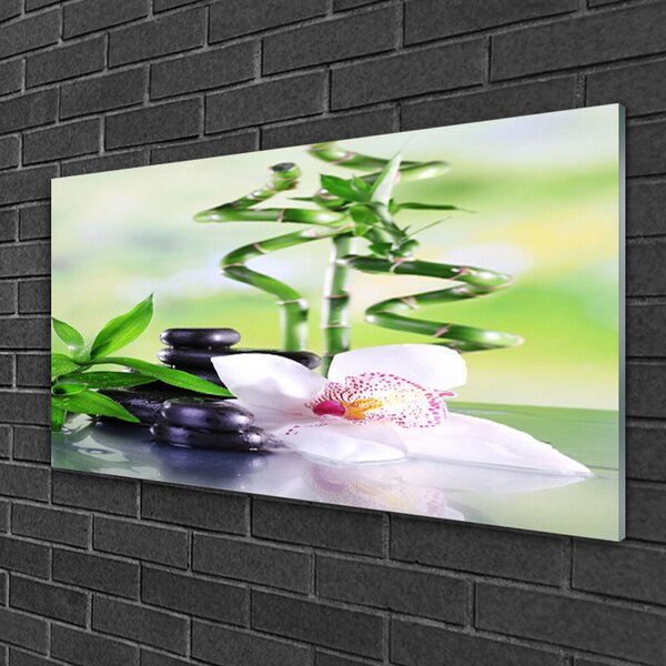 Quadro in vetro Orchidea Bambù Zen Spa 100x50 cm 2 appendini
