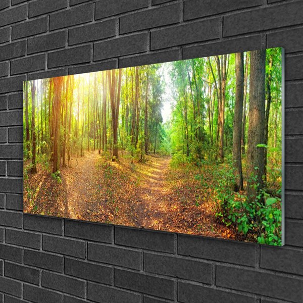 Quadro su vetro Sole Sentiero Natura Foresta 100x50 cm 2 appendini