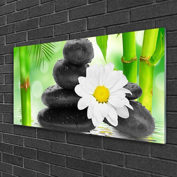 Quadro su vetro Fiore di bambù margherita 100x50 cm 2 appendini