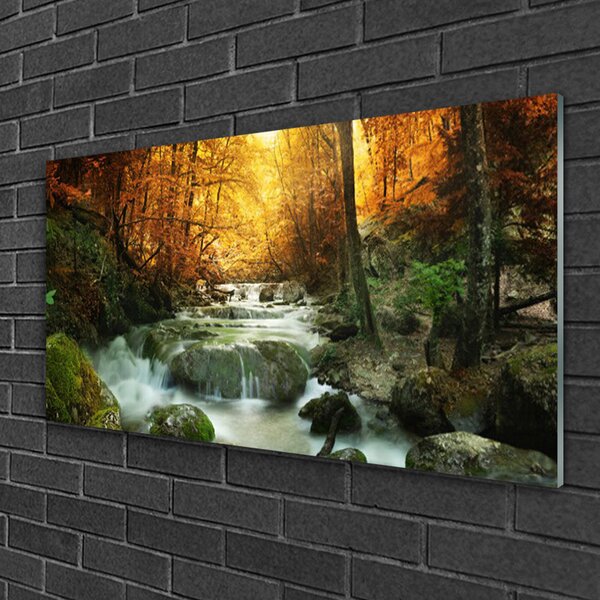 Quadro vetro Cascata Natura Foresta Autunno 100x50 cm 2 appendini