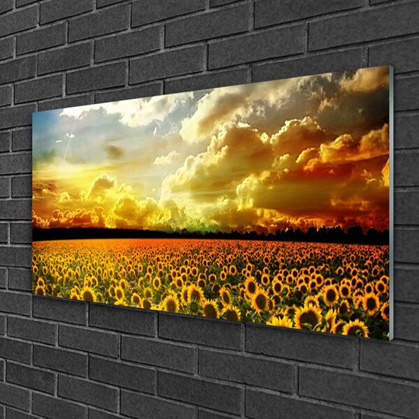 Quadro su vetro Paesaggio del campo di girasoli 100x50 cm 2 appendini