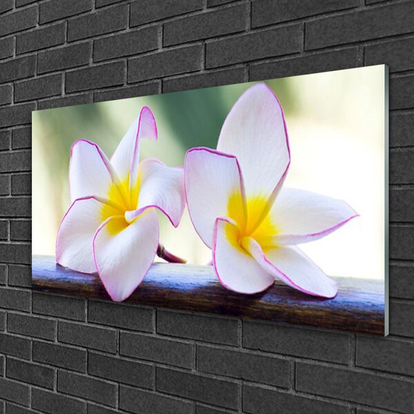 Quadro in vetro Fiori Petali Plumeria 100x50 cm 2 appendini