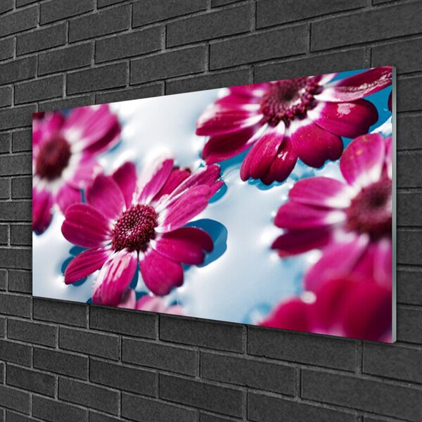 Quadro di vetro Fiori sull'acqua della natura 100x50 cm 2 appendini
