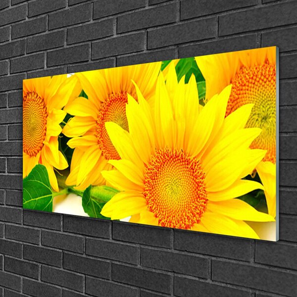 Quadro su vetro Girasole Fiore della natura 100x50 cm 2 appendini